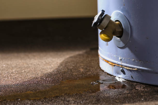 Best Ceiling water damage repair  in Athens, GA