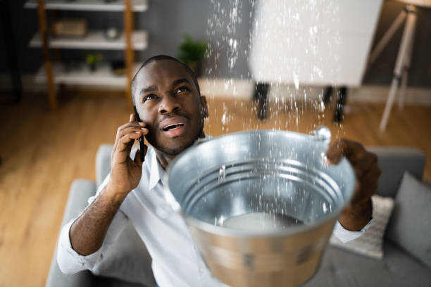 Best Local water damage restoration  in Athens, GA