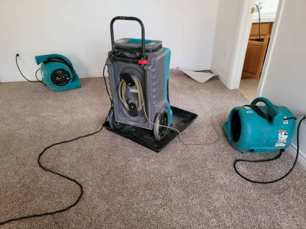 Best 24/7 water damage repair  in Athens, GA