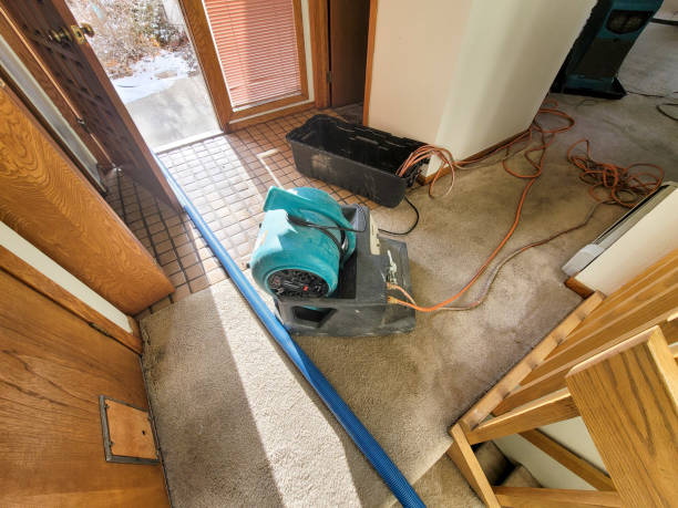 Athens, GA Water damage restoration Pros