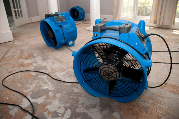 Best Flood restoration services  in Athens, GA