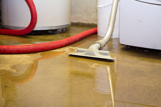 Best Water damage restoration specialists  in Athens, GA