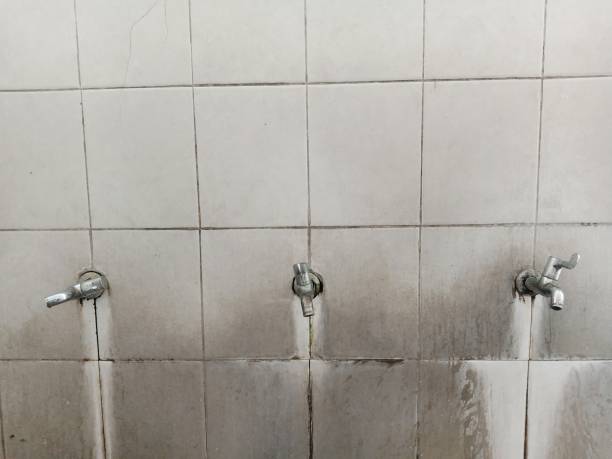 Best Local water damage restoration  in Athens, GA