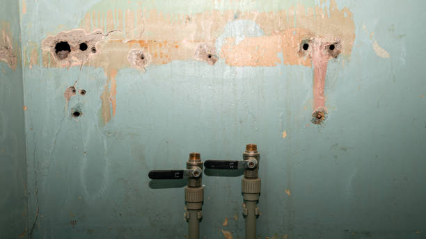 Best Water damage restoration near me  in Athens, GA
