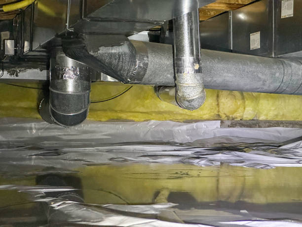 Carpet water damage restoration in Athens, GA