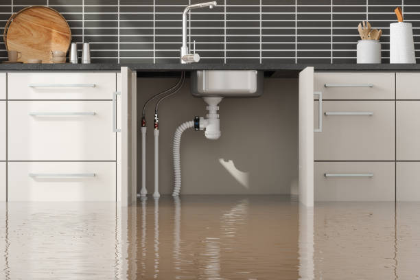 Best Flooded house restoration  in Athens, GA