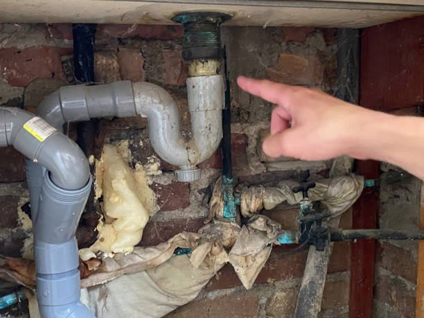 Best Sewage cleanup and water damage restoration  in Athens, GA