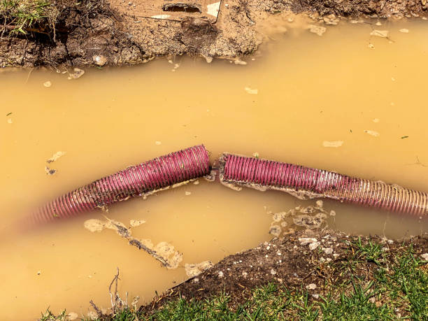 Trusted Athens, GA Water damage restoration Experts