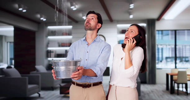 Best Basement water damage restoration  in Athens, GA